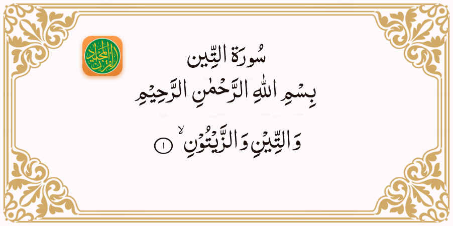 Sura At-Tin 95 Aya 1 | Quran Majeed